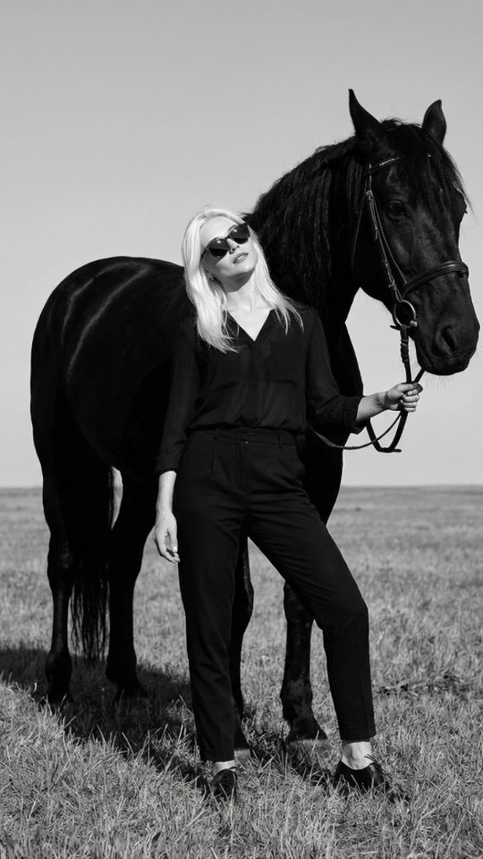 BW Horse